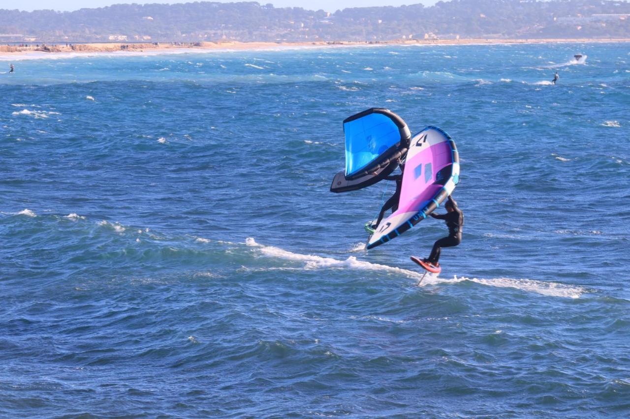 L'almanarre * Hyères
